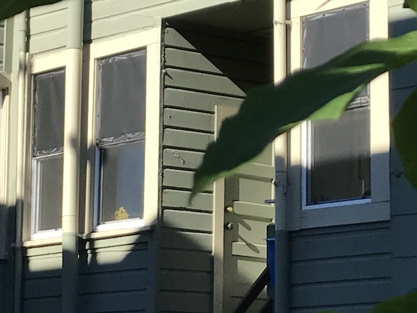 Neighbours Low E Windows Melting Plastic Turf