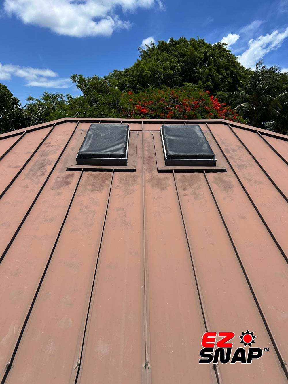 EZ Snap Skylight Shades Review Photos from Suzanne S2