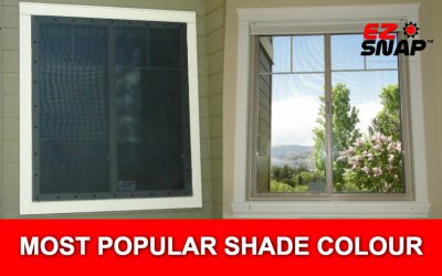 Most Popular Window Shade Colour