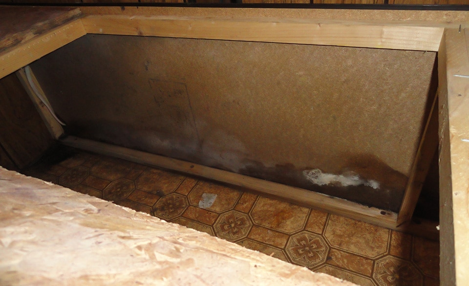 Mold and Mildew Banish the Unwanted Guests